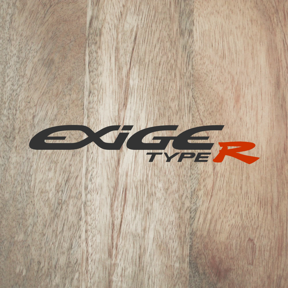 EXIGE TYPE R decal - for Lotus Exige S1 – Divine Handcraft